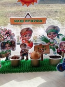Огород на подоконнике