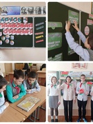 Единый урок, посвященный Дню Конституции Республики Беларусь