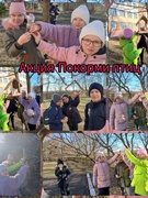 Акция "Покорми птиц". 3Б класс