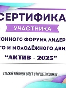 Об участии в районном форуме лидеров детского и молодежного движения "АКТИВ-2025"