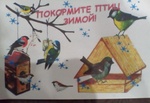 Картинки птиц зимой