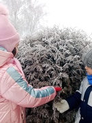 "День чудес зимней природы" (27.12.2021) (в рамках зимних каникул)