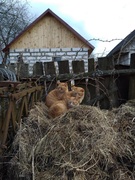 Конкурс фотографий "Мая чароуная Беларусь"