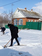 Акцыя "Клопат"