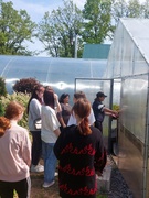 05.06.2025 Экскурсия  в Милошевичское опытно- производственное лесничество. Дендропарк.