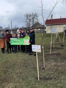 Акция "Посади дерево"