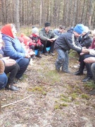 Выход в лес “Весна шагает по планете”