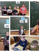 25.03 шестой день