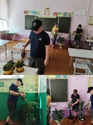 Производственная практика для учащихся 5 - 6 классов