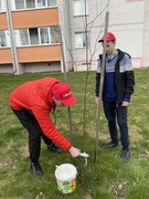 Благоустройство аллеи семейных деревьев