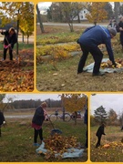 Наведение порядка на земле.