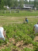 Ученическая производственная бригада