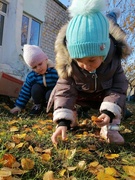 Золотая осень