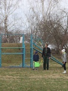 Посади дерево там, где родился!