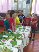Аздараўленчы  лагер "Ветразь надзеі". Дзень сёмы