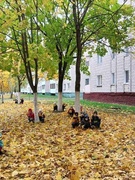 Экскурсия " Листопад в нашем городе"