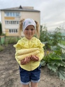 Во саду ли в огороде
