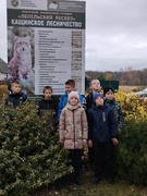Экскурсия в Кащинское лесничество