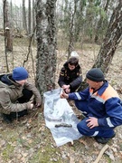 Падрыхтоўка да рэспубліканскага юніёрскага ляснога конкурсу "Квітней, мой лес!"