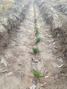 Мирный созидательный труд во благо чистой и зелёной страны!????