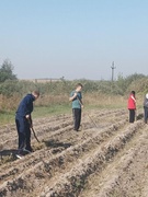 Первичная организация ОО "БРСМ"