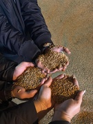 Профориентационная экскурсия на мехдвор КСУП "Тепличное"