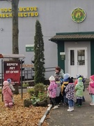 Экскурсия в Поставское лесничество