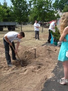 Акция "Посади дерево" 10.06.2015г