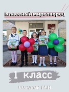 Классный миротворец