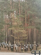 МК Тростенец 01.03 2024