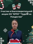 Участие в благотворительной акции ОО «БРПО» «Чудеса на Рождество»