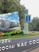 Школьный музей " Сосны, мае Сосны"