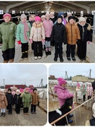 Экскурсия на МТФ КСУП "Скороднянский"
