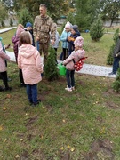 Посадка туи на аллее, посвящённой Дню народного единства