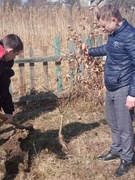 26.03. Экологическая акция ' Посади свое дерево".