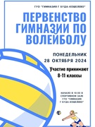 Наши каникулы.Первенство гимназии по волейболу среди учащихся 8-11классов.