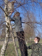 Встречаем пернатых