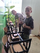 Трудовая практика учащихся 5 класса