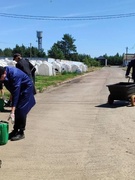 Воспитательно-оздоровительный лагерь труда и отдыха «Романтика» (23.06.2026)