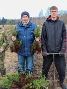Дай лесу новае жыццё