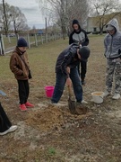 Пасаді дрэва