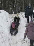 День снега 2017