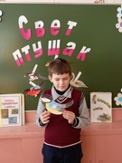 МЕМО "Пернатый мир" (квест-игра Полесские Робинзоны)