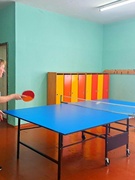 Турнір па настольным тэнісе