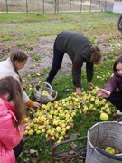 Оказание помощи ветерану труда Котович Т.Е.