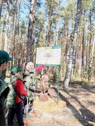 Весенние каникулы. Экологическая тропа "Лясныя сцежкі"