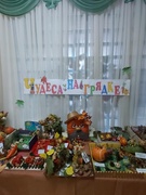 Выставка поделок :"Чудеса на грядке"