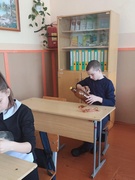 Экологический конкурс “Челлендж # Зелёным школам – зелёный свет».