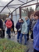 Экскурсия в питомник саженцев