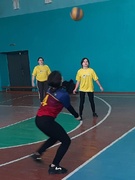 Районные соревнования по воллейболу